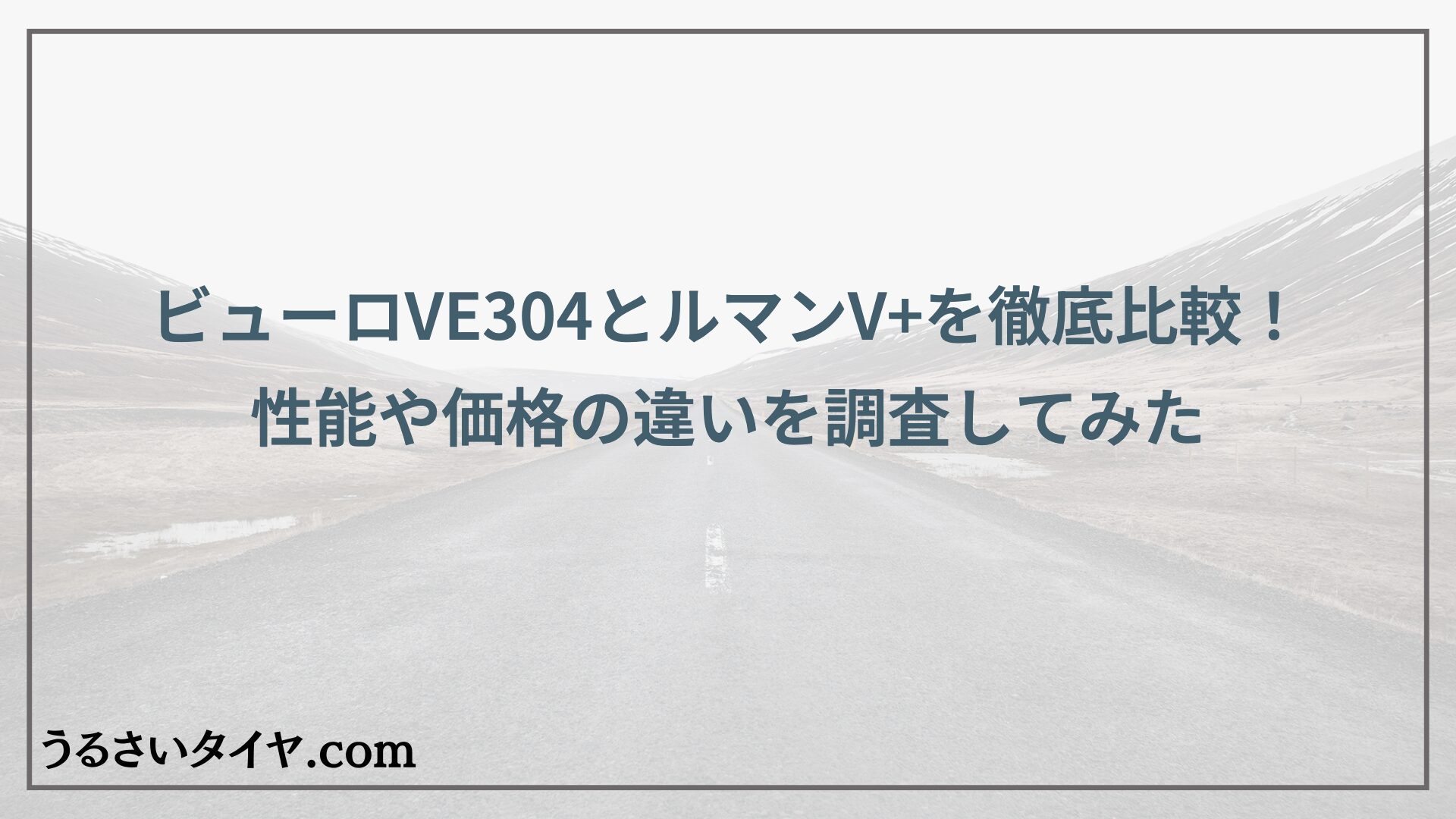 ビューロVE304とルマンV+を徹底比較！性能や価格の違いを調査してみた