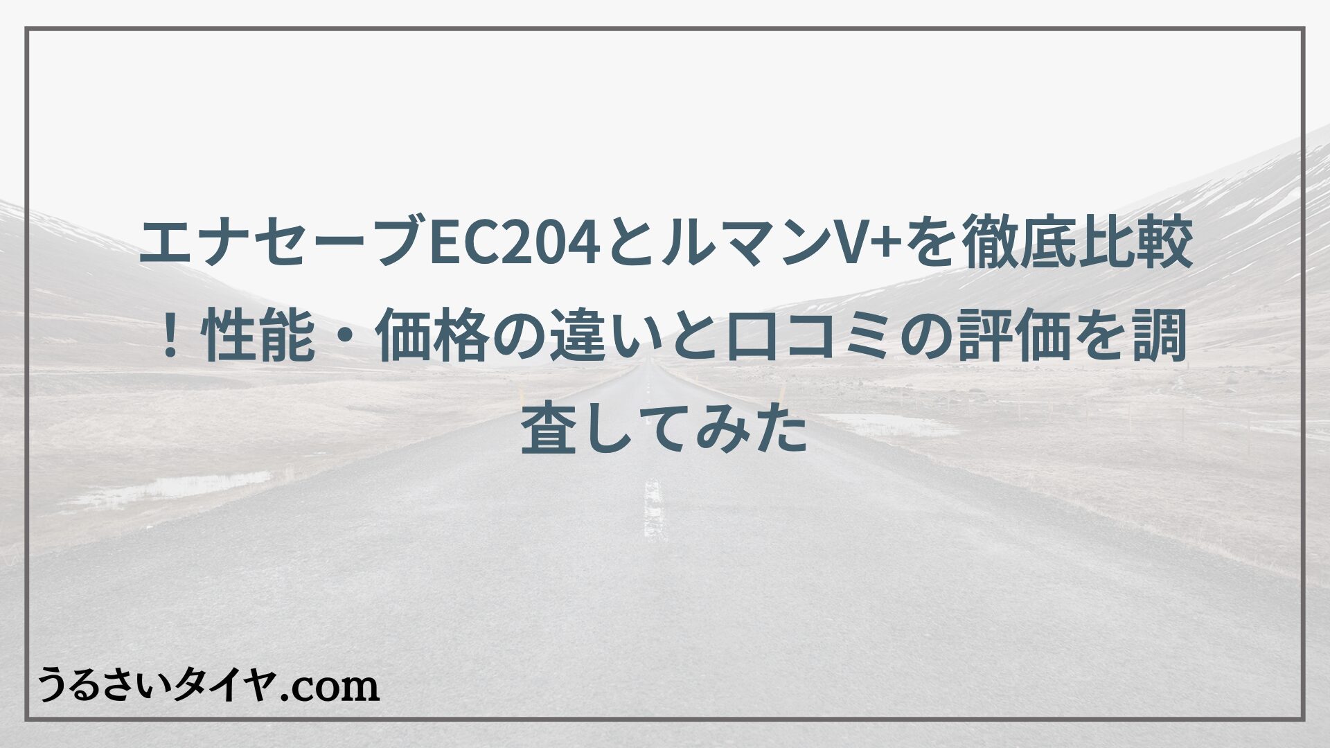 エナセーブEC204とルマンV+を徹底比較！性能・価格の違いと口コミの評価を調査してみた
